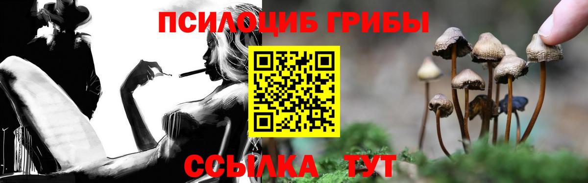 Псилоцибиновые грибы GOLDEN TEACHER  Вход с VPN  закладка  Галлюциногенные грибы ЛСД  Химки 