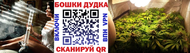 Бошки Шишки THC 21%  Химки 